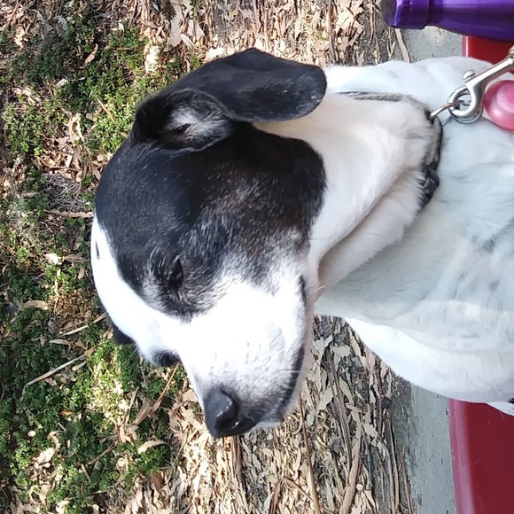 Meet your Posher, Ciel - Picture 1 of 1